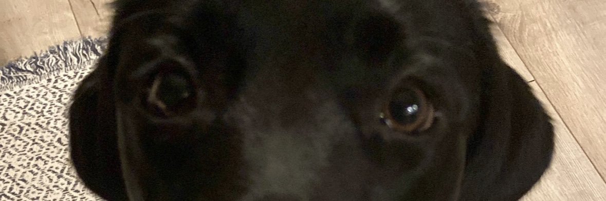 ja matthis halt banner
