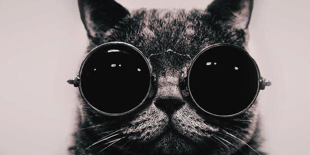 Duquesa Soli Miau🦇 banner