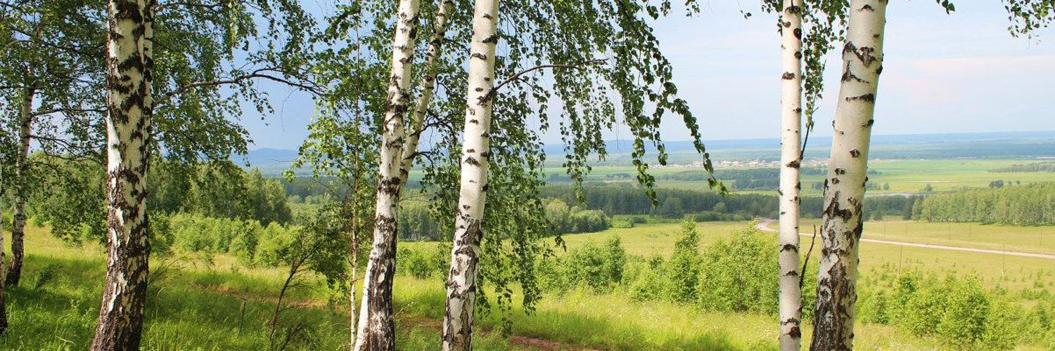 raznoje's profile banner image