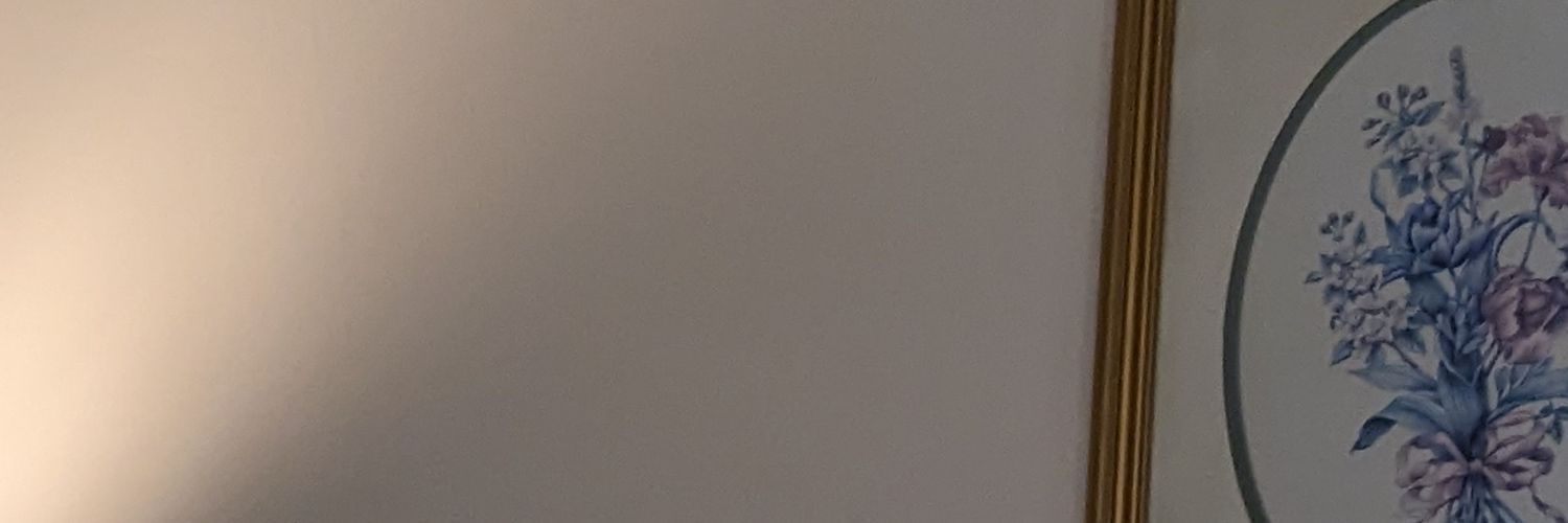 mountainangelic's profile banner image