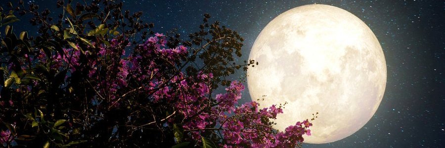 我不是好人 banner