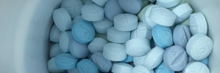 GNAW🐍💚❤️💚 banner