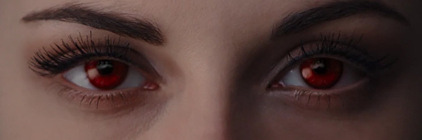 The Twilight Saga Memes banner