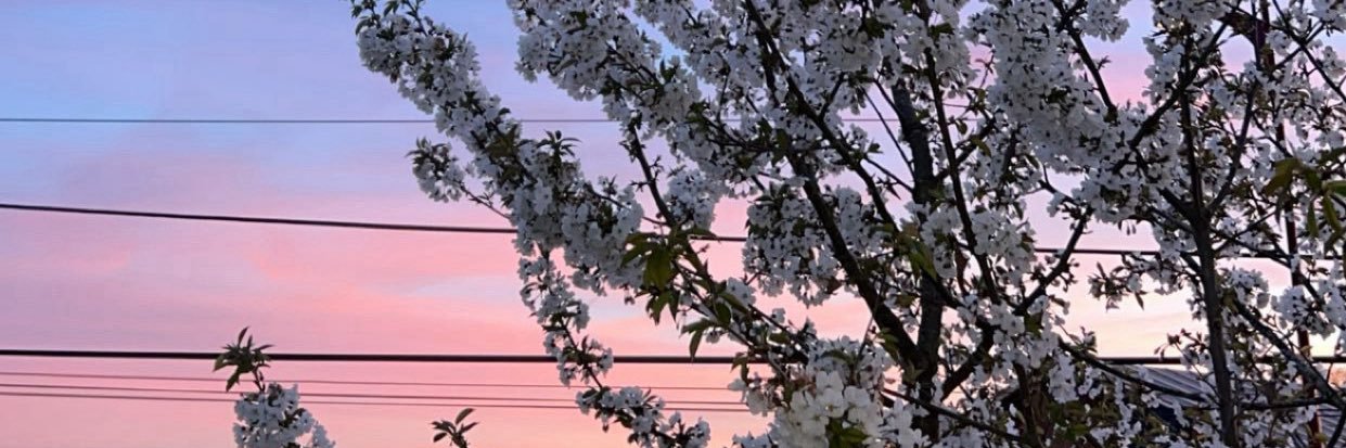 𝒔 banner