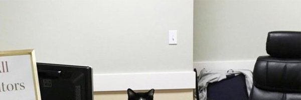 Thereisnocat_ Profile Banner