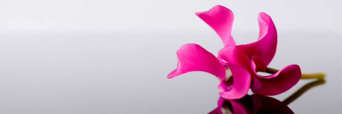 katiuscapena's profile banner image