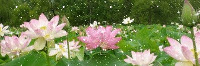 🍭's banner