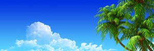 Tuấn Tùng Hoàng (✸,✸) banner