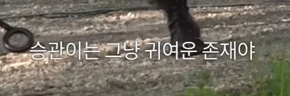 Dong_eu1's profile banner image