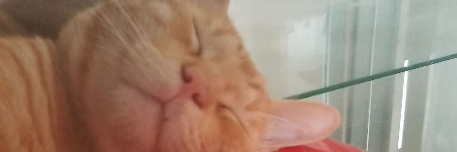 bnjadm1n's profile banner image