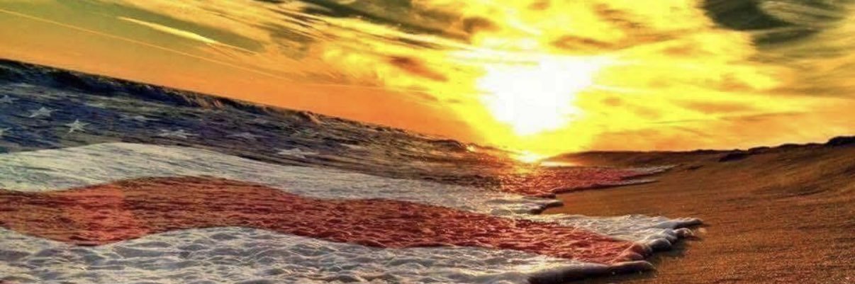 Ronnie 🇺🇸 Dempsey banner