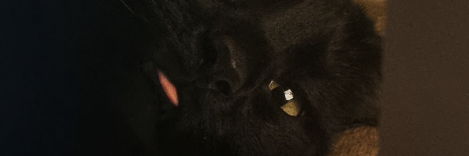 nuriniru's profile banner image