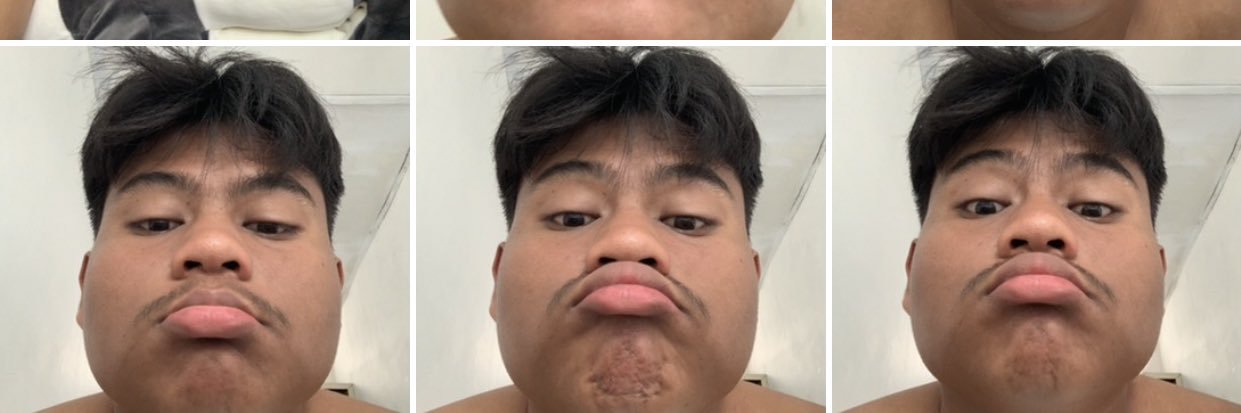 Alipmaukequebec banner