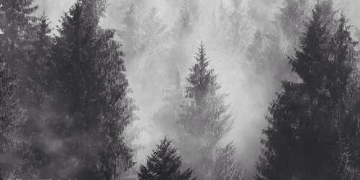 bearstattoos's profile banner image