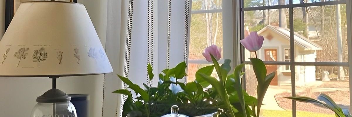 🧸🎀 banner