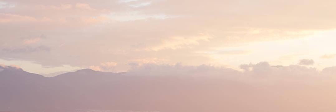 elysalb's profile banner image