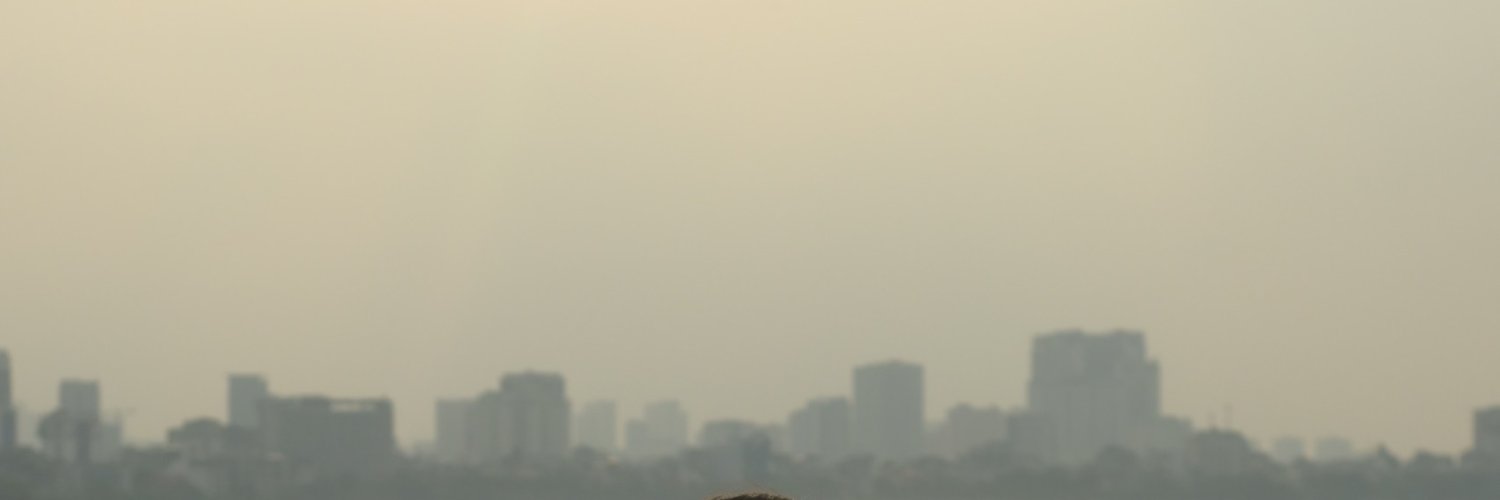 Mphm1009's profile banner image