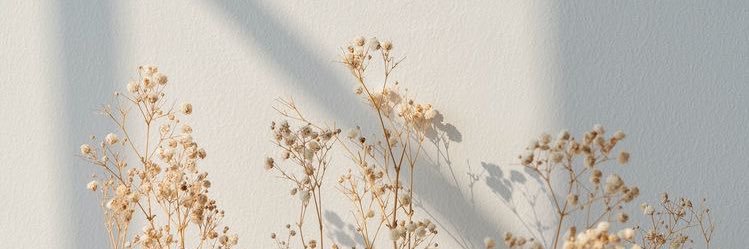 Andy banner