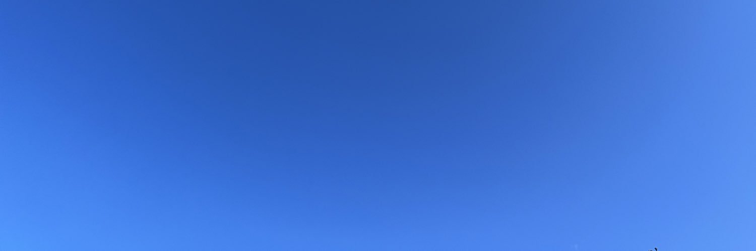 liuthefollower's profile banner image