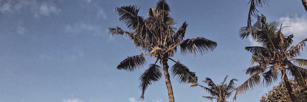 RadanaHruba's profile banner image