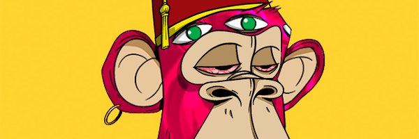 drd49080270's profile banner image