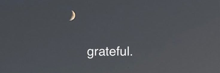 Big_Bully 🤠 banner