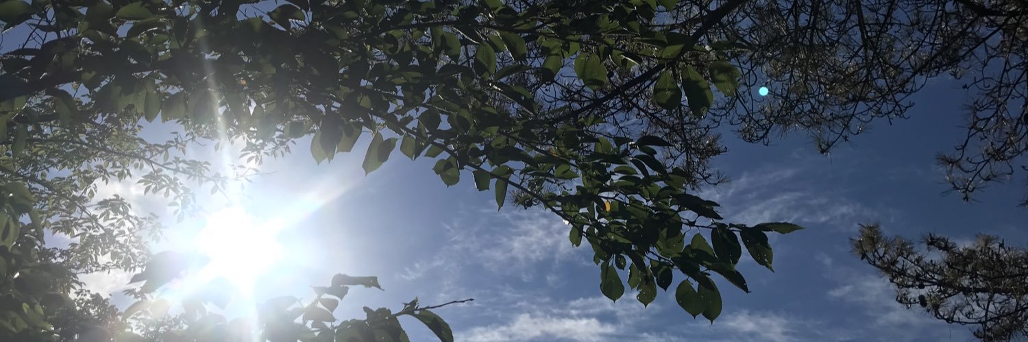 あか's banner