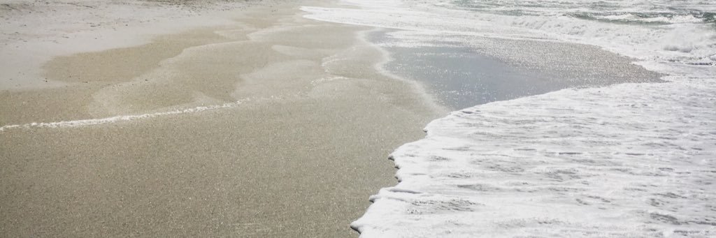 hallidaycraig's profile banner image