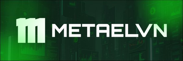 MetaElvn Profile Banner