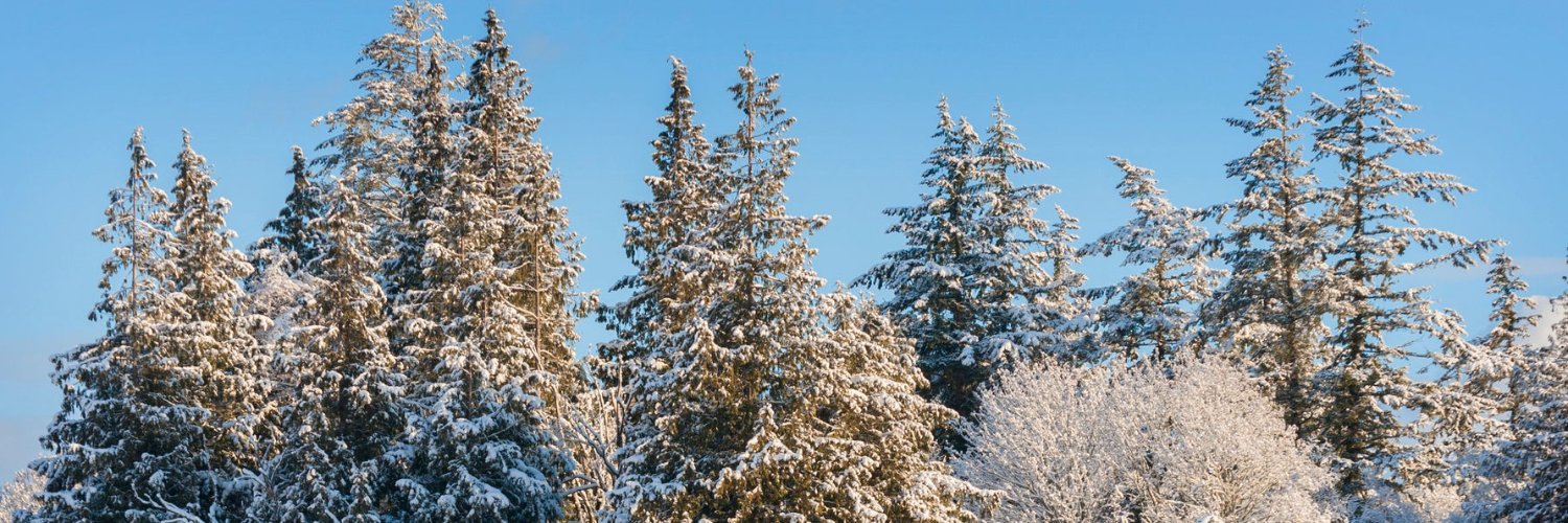 highlys48's profile banner image