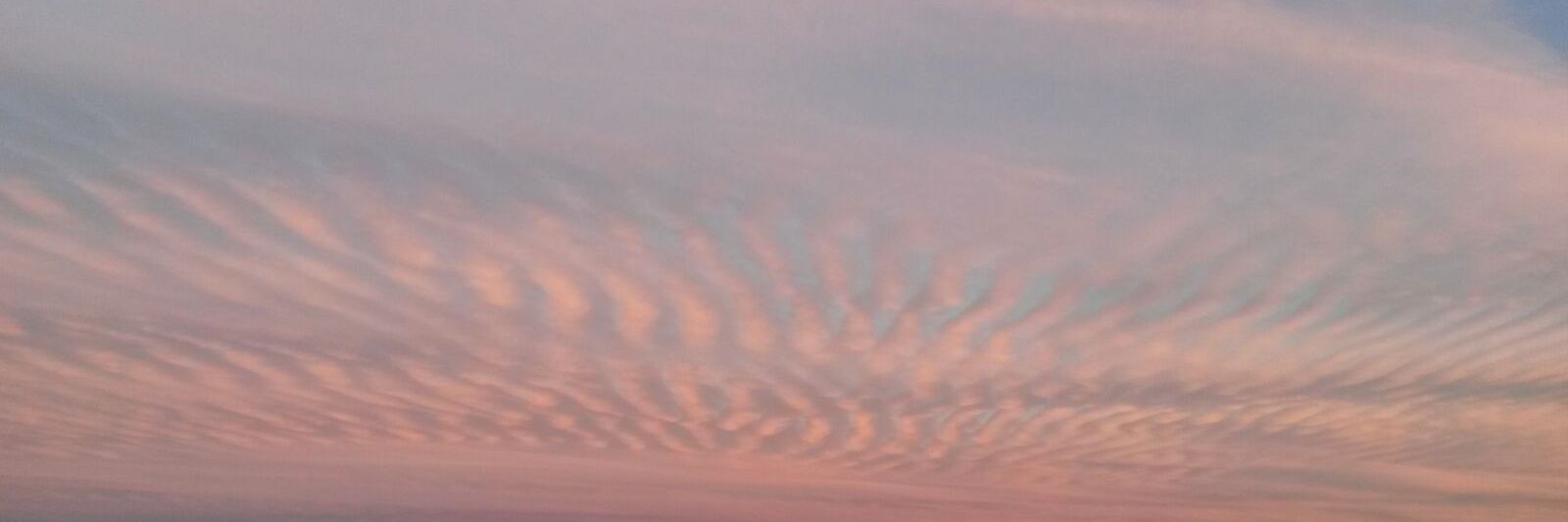 raquel alcolea banner