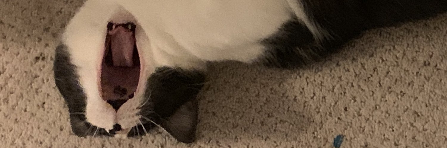 MissBDeath's profile banner image