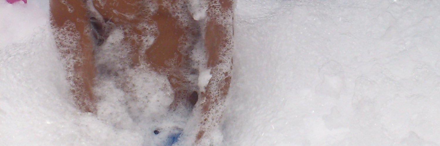 Taizo 🇹🇼 banner