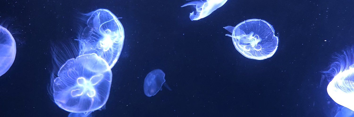 vivre la vie banner