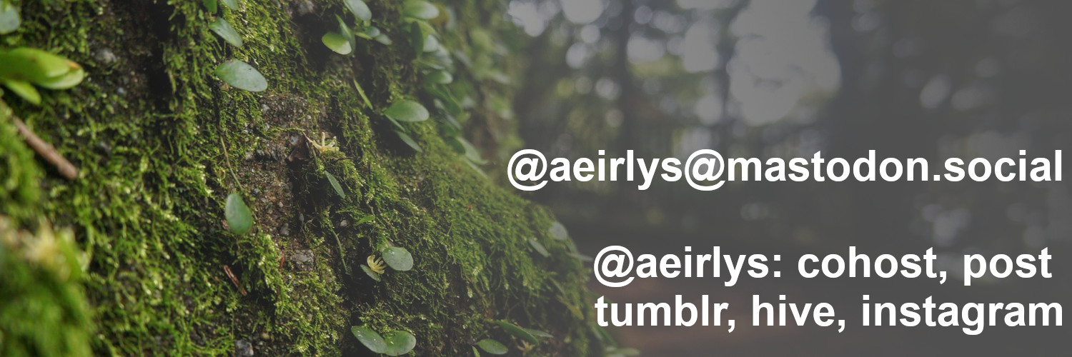 aeirlys's profile banner image