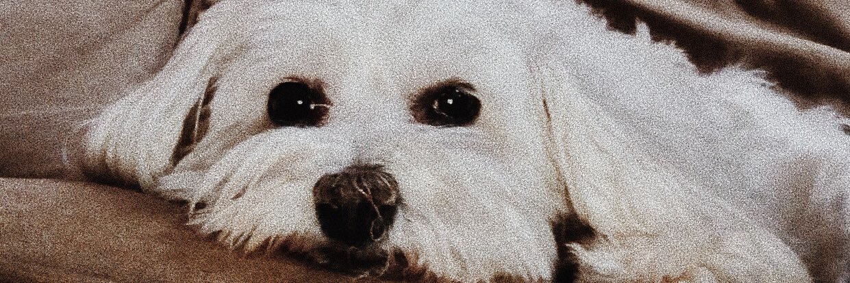 dnrigstaaa's profile banner image
