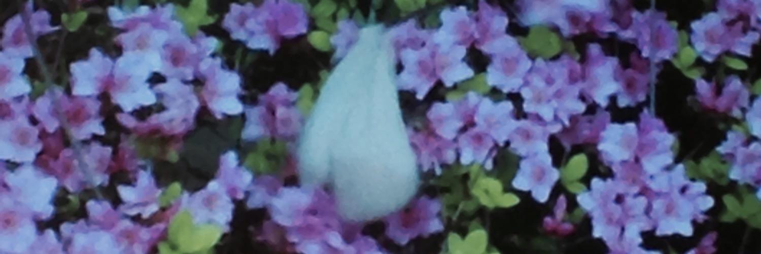 andrewrigsby's profile banner image