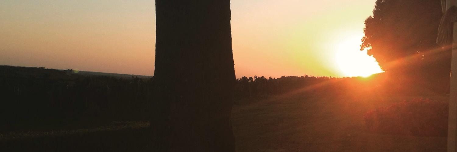 VirginieDaCosta's profile banner image