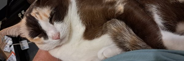 miblish511 Profile Banner