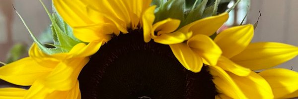 SarahGuthrie52 Profile Banner