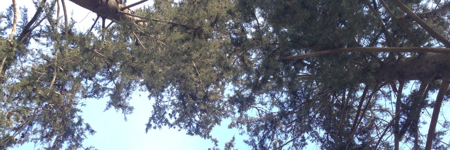 tanyaebeth's profile banner image
