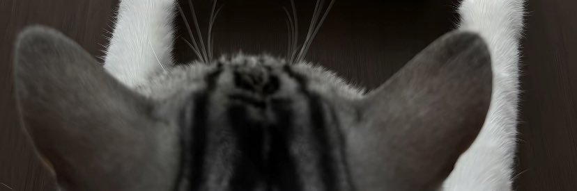 Yu5ttttttt's profile banner image