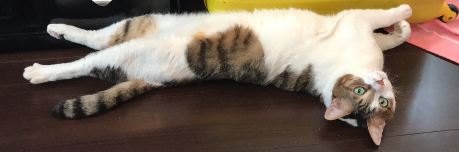 willy922's profile banner image
