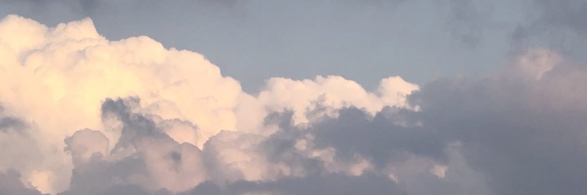 Sydseabon's profile banner image