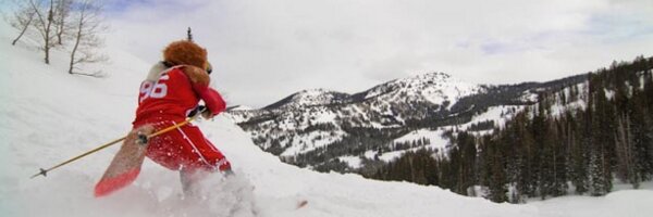 SwoopHawk Profile Banner