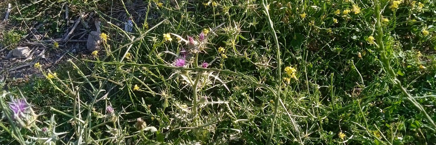 brahimzbilen4's profile banner image