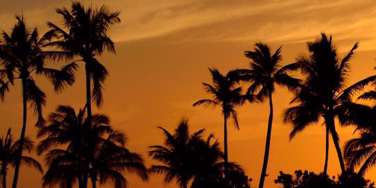 Kevin_carlo3's profile banner image