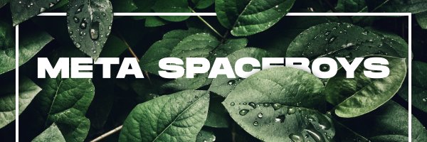 Meta SpaceBoys banner