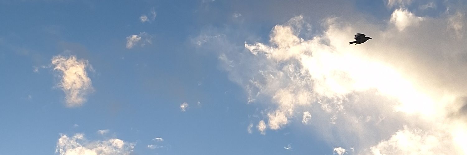 Healys🏳️‍⚧️ banner