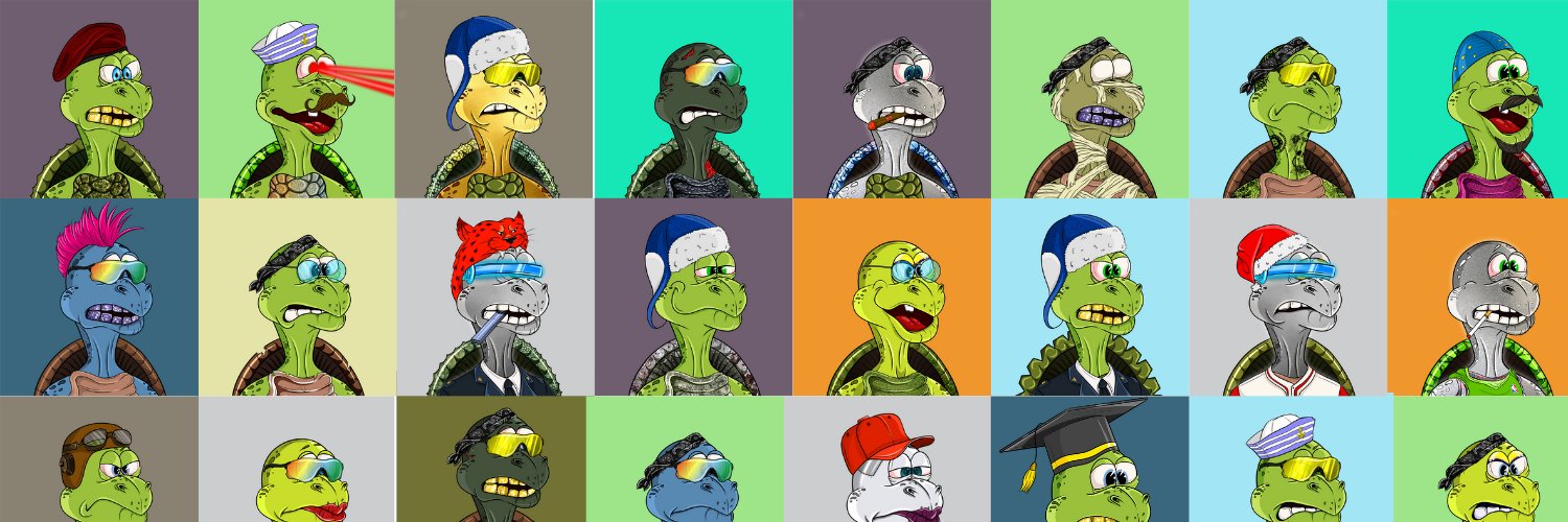 Timeless Turtles Club banner